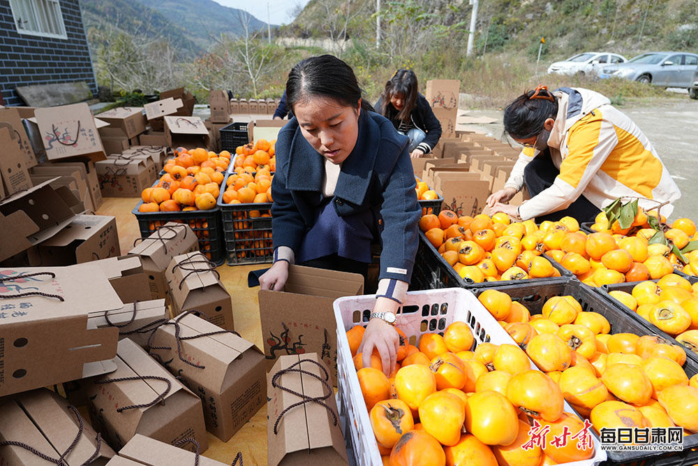 Ex-Australia batter Law appointed Nepal head coach