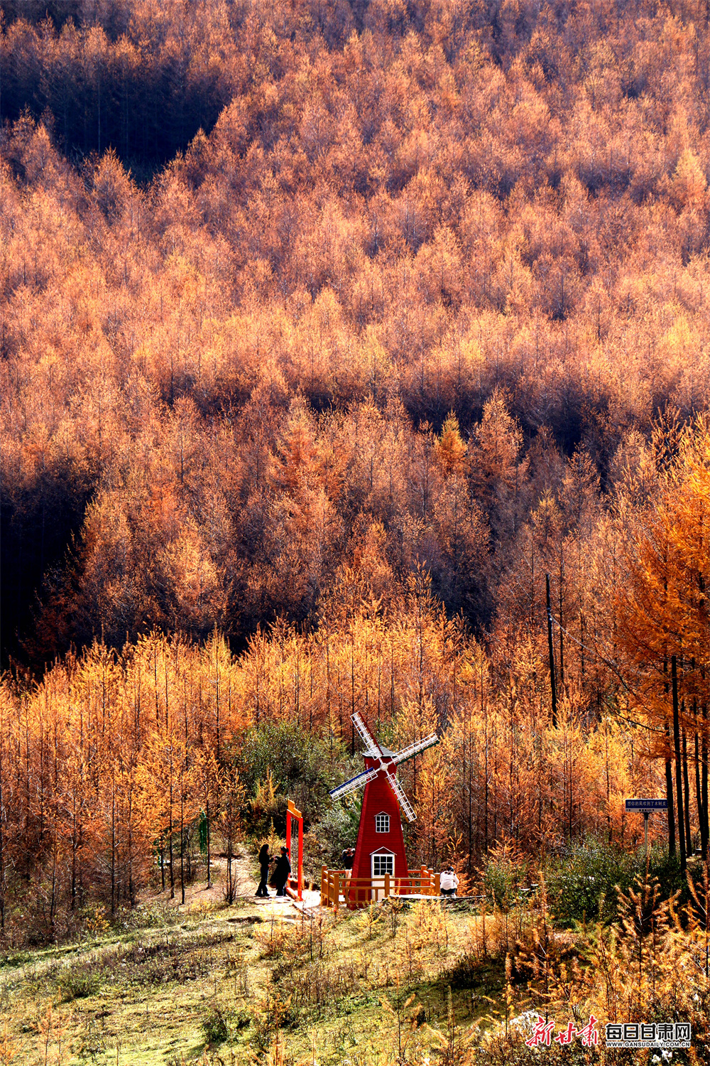 Stick or twist? How do Leeds solve Meslier muddle?