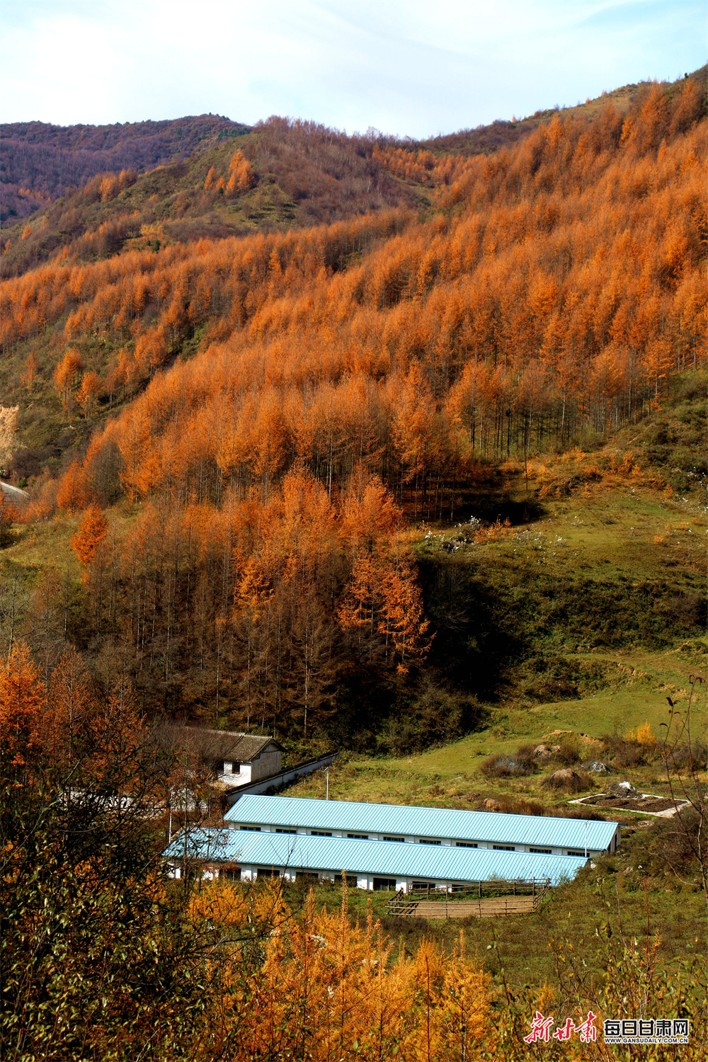 东风家园二手房出售（东风家园二期租房）