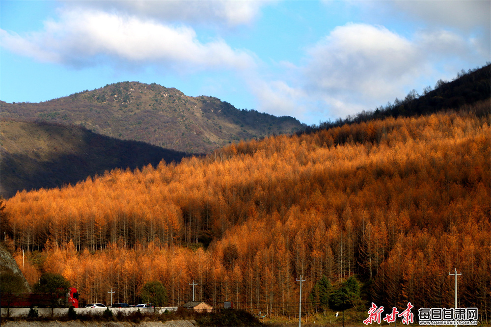 A $90m litmus test - Wisconsin court vote becomes referendum on Musk