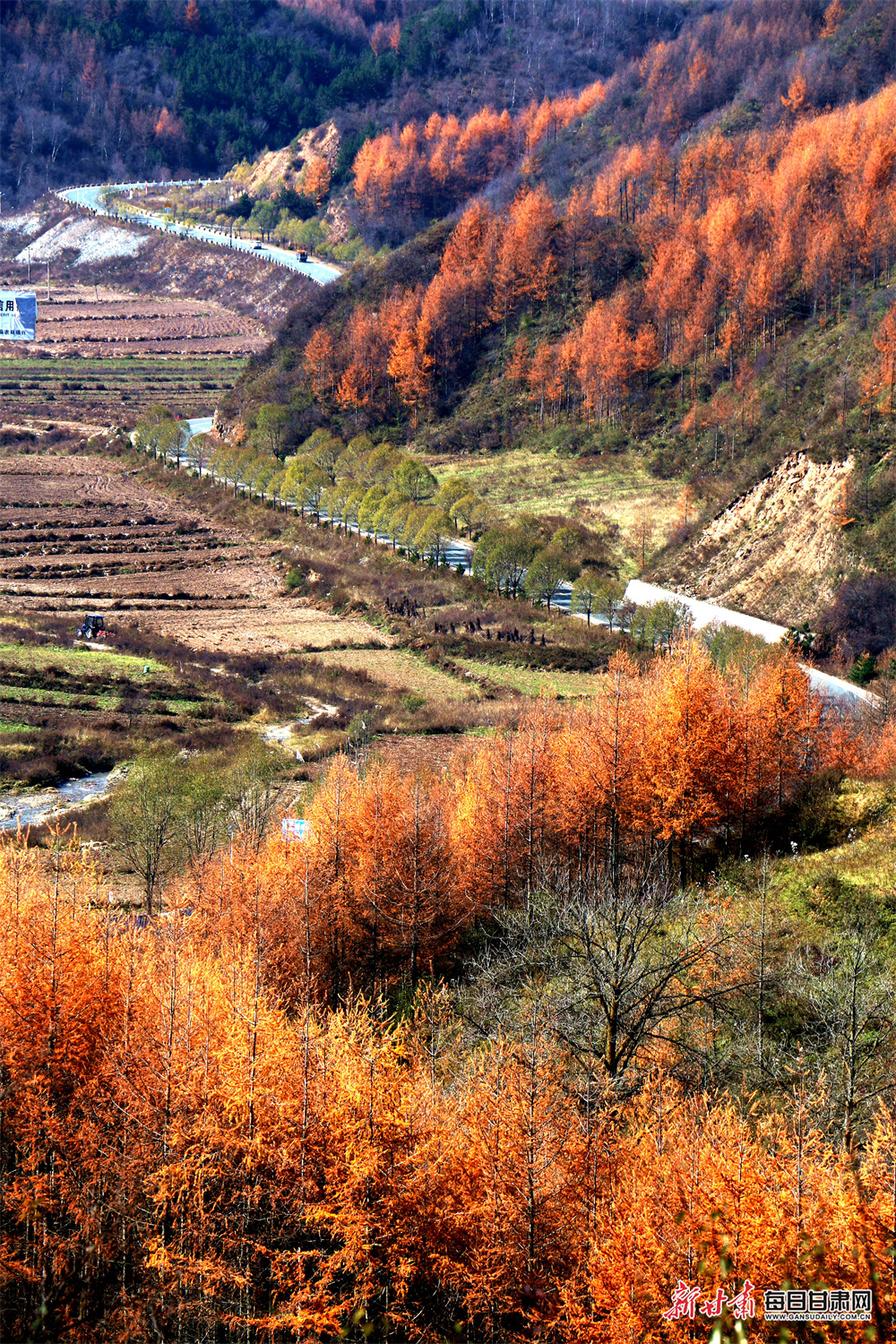 Crash death families urge people to stop and think before posting online