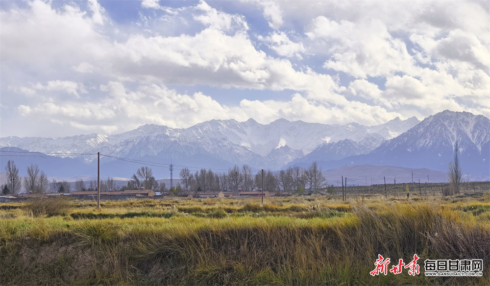 Haaland out for up to seven weeks with ankle injury