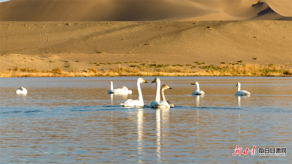 苏州日本母子遇袭案9日首次开庭审理