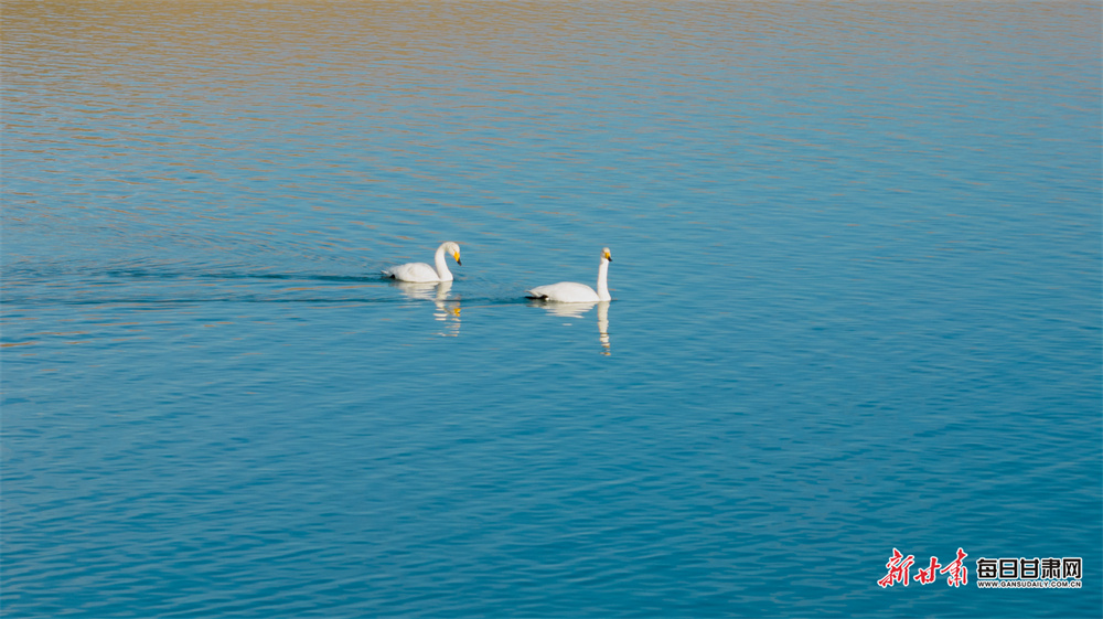 苏州日本母子遇袭案9日首次开庭审理