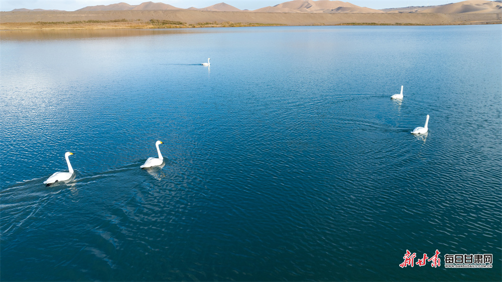 From chatbots to intelligent toys: How AI is booming in China