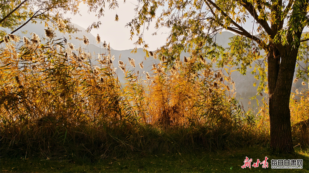 Doctor acquitted of care home manslaughter