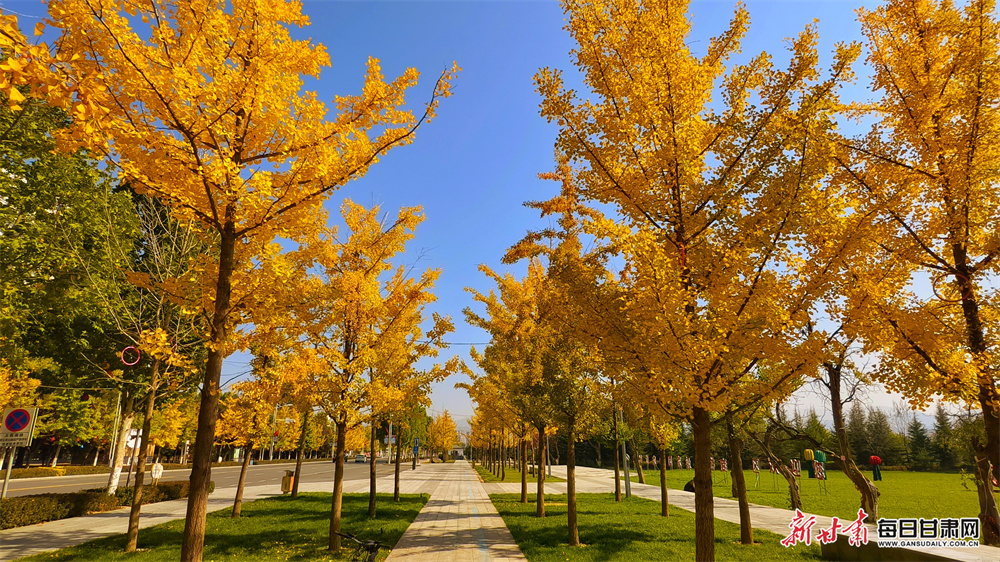 郧西县发挥党外知识分子作用，助力地方经济高质量发展