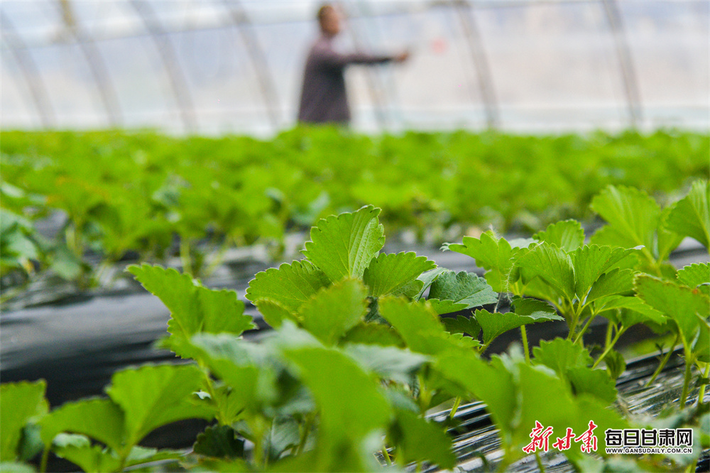 Hospitals to save ￡360k with new solar panels