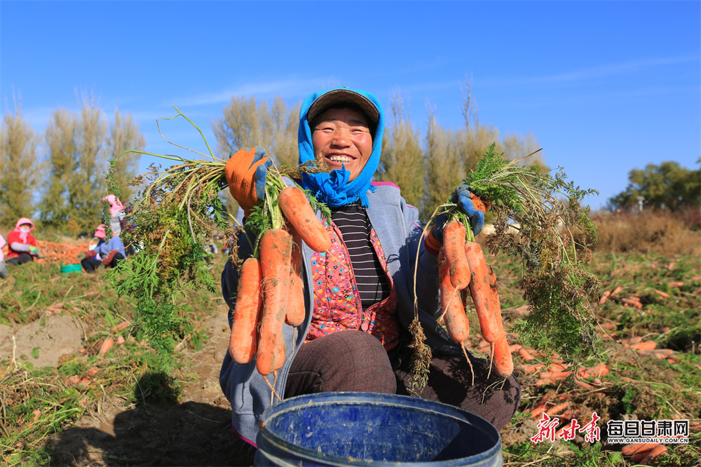 'Evolution beckons for Ireland as legends bow out'