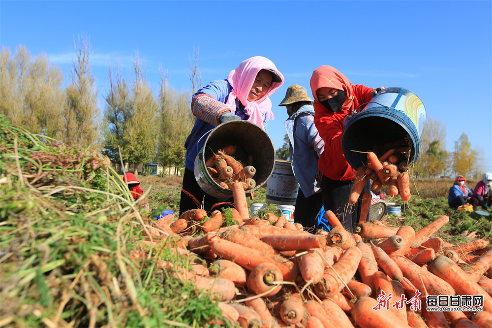 平原上的“火焰”沦为“火锅”，谁来背锅