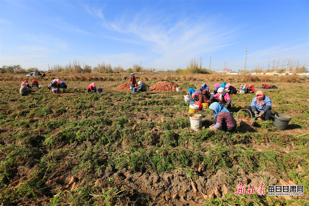 Love song to a city that moved John Peel to tears