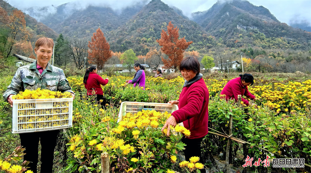 Wigan Warriors full-back Field signs new contract