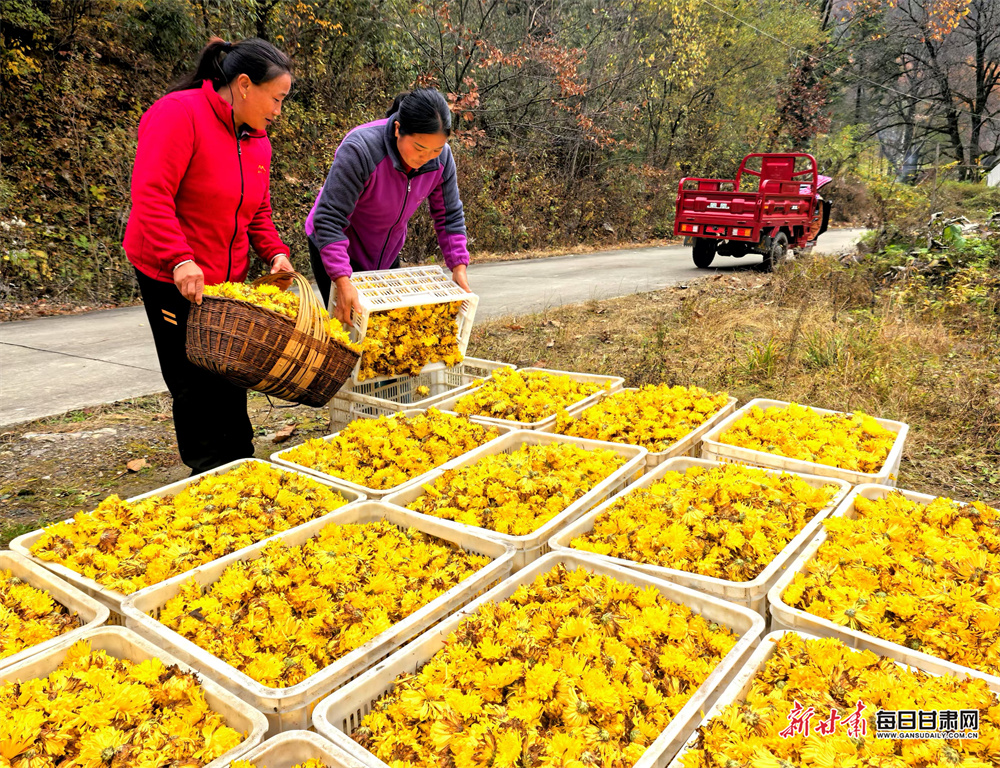 迎来黄金捕捞期 来看看“水中软黄金”鳗鱼苗捕捞现场