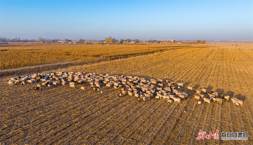 恒大雅苑二手房出售（恒大雅苑二期房价）