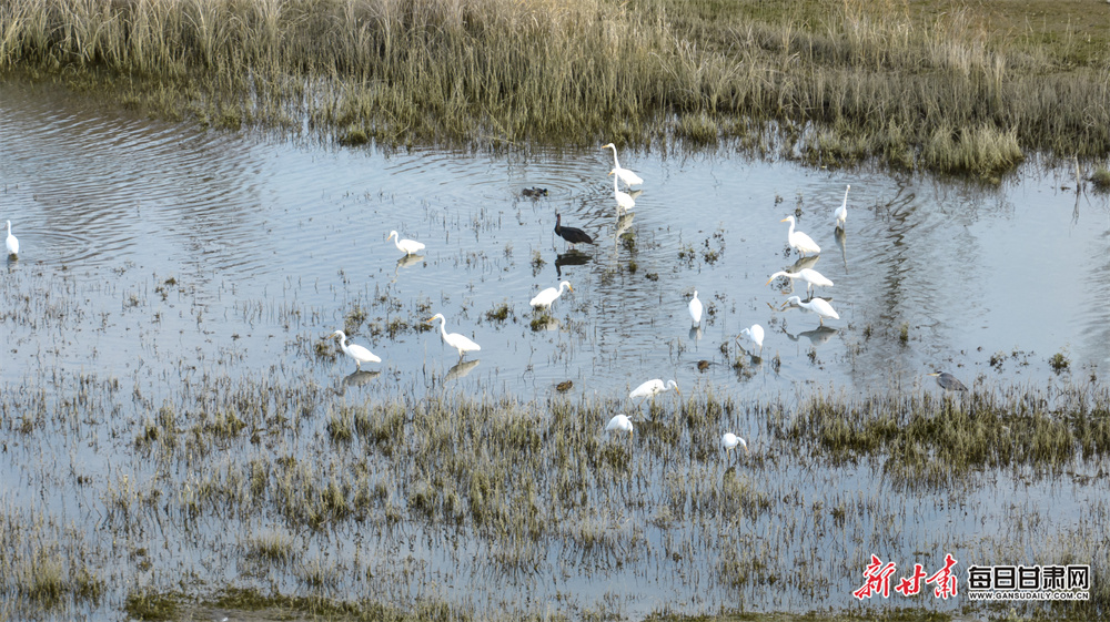 Stars turn on the style on Oscars red carpet - in pictures