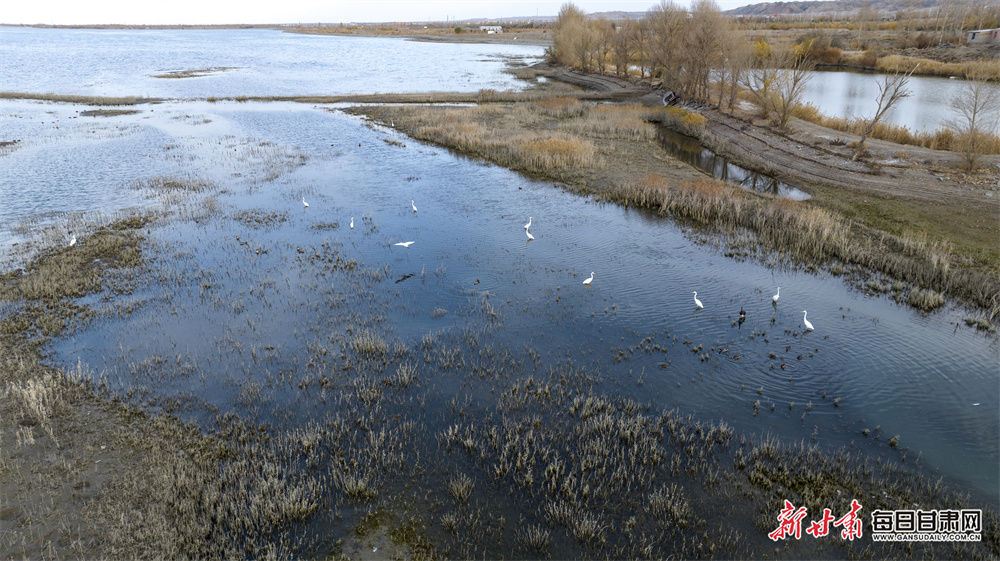 Kim wins Ford Championship as Hull fades