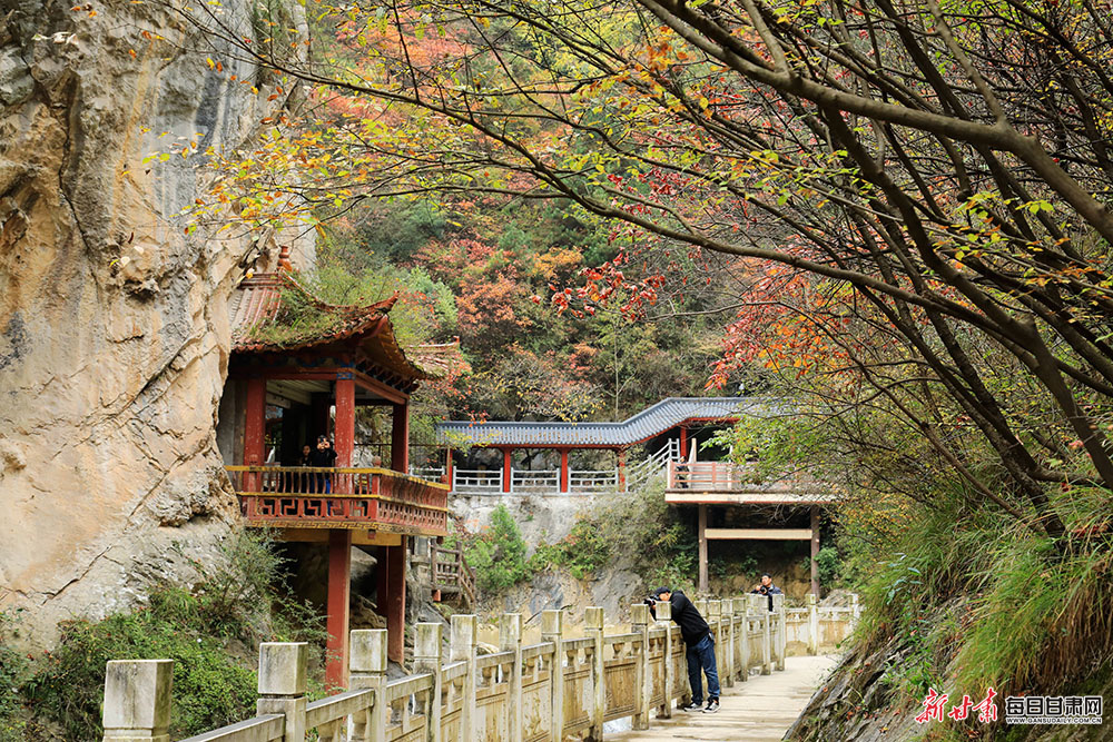 Scots can call on 'superpower' v Germany - Howard