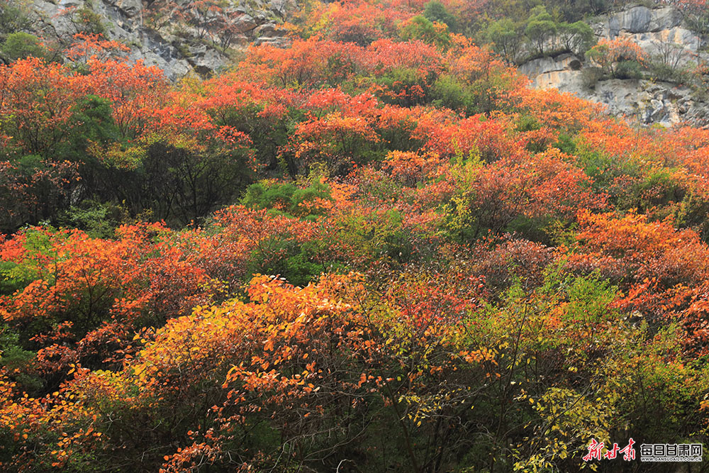 开福区二手房出售信息（长沙开福区二手房出售信息最新消息）