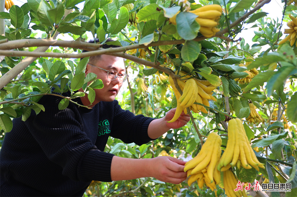 Why do we have April Fools' Day - and what's the best prank you've played?