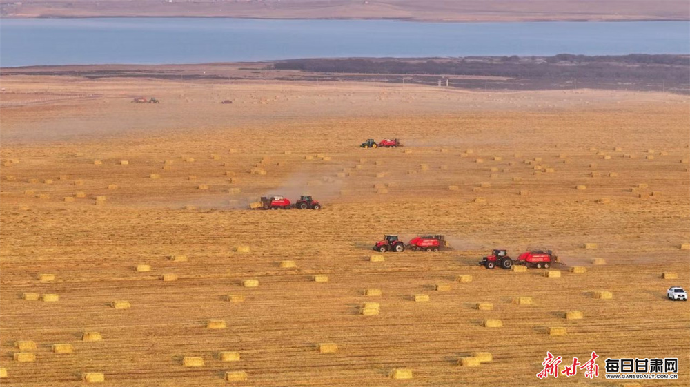 Choirs from around the world will compete in city