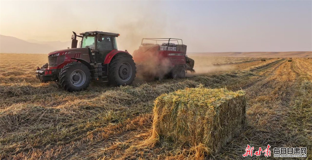 上海黄浦区二手房（探秘上海黄浦区二手房：闪耀城市中心的投资宝藏！）