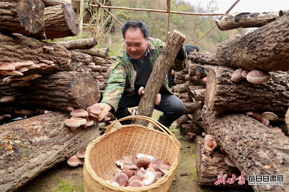 Kelleher to be assessed ahead of Harlequins tie