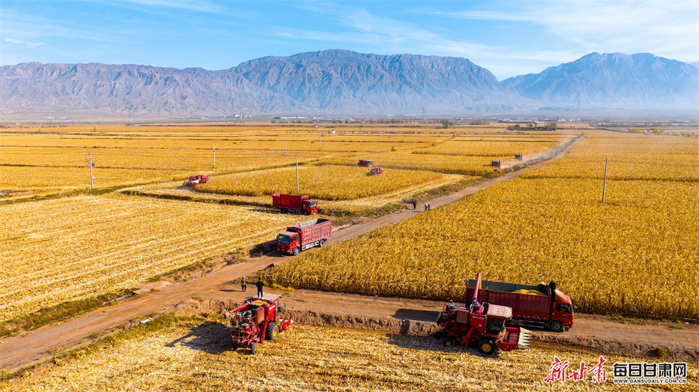 World darts champion to receive ￡1m prize money