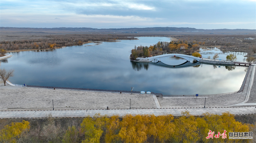 沈阳58同城租房子（沈阳58同城二手房出租信息）