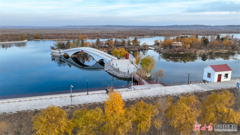 Djokovic beats Musetti to reach Miami quarter-finals