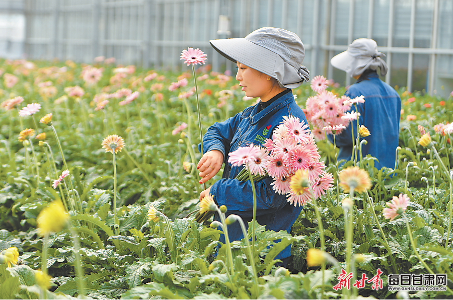 【图片新闻】工作人员在临夏市现代农业科技产业园智能温室里管护花卉
