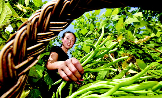 武山縣：特色產(chǎn)業(yè)繪就富民強村新畫卷