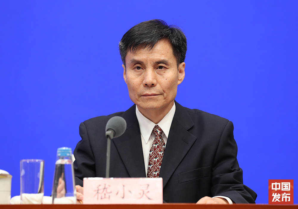 图片已损坏