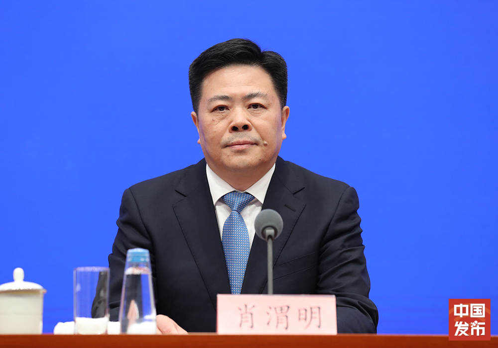 图片已损坏