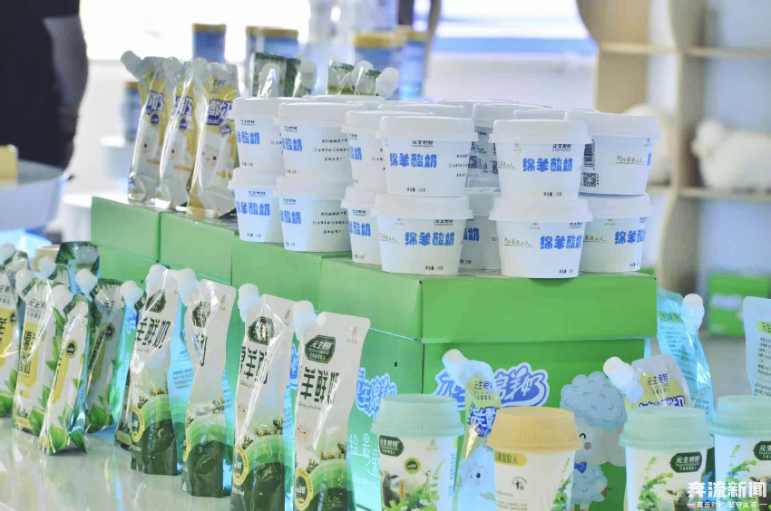 “奔流城市计划”第二站走进金昌,解密从“(41862419)-20250703090648.jpg “奔流城市计划”第二站走进金昌,解密从“(41862419)-20250703090648.jpg