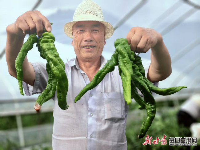 从“单打独斗”到“联村共赢”——灵台县强村带弱村破解增收难题