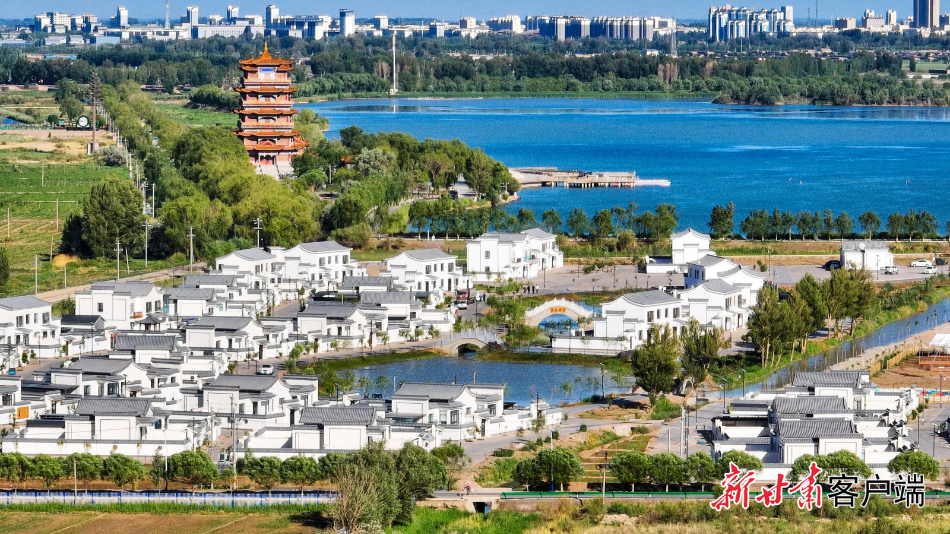 【強(qiáng)縣域 促提升】高臺：公司化運(yùn)營破解村級集體經(jīng)濟(jì)發(fā)展難題