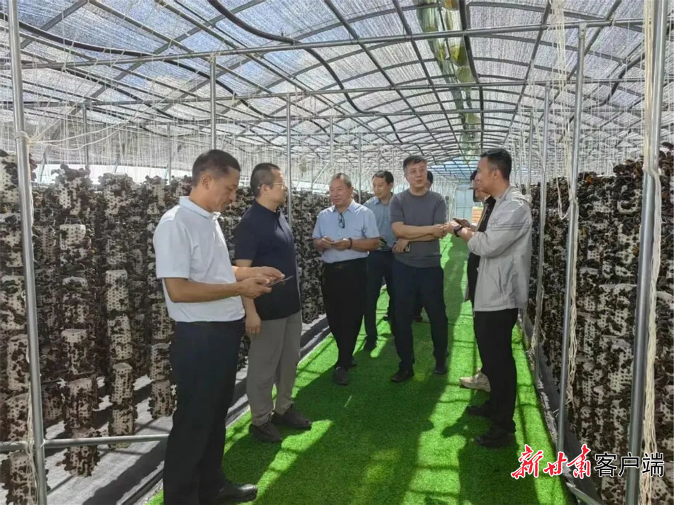 【鲁甘协作助发展】科技赋能鲁甘协作 破瓶颈激活力