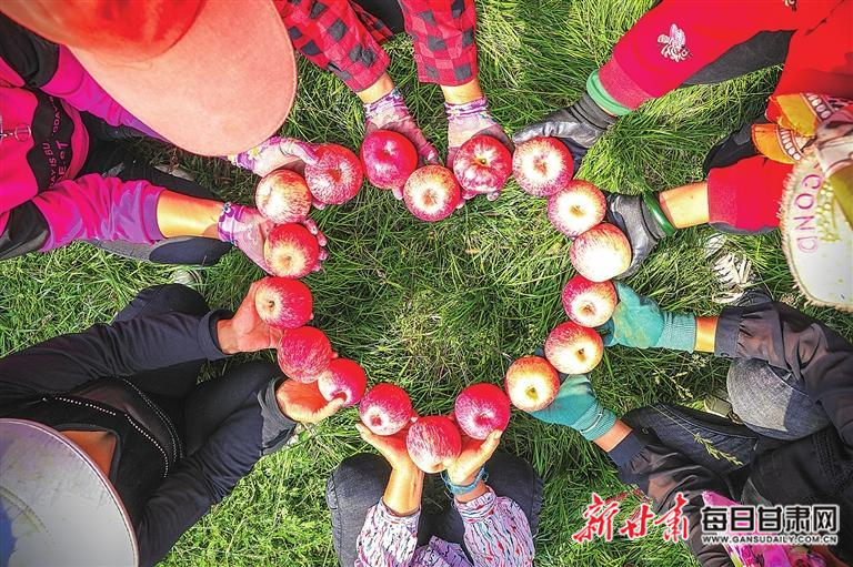 “黄金果”链就百亿集群——平凉市大力推动“静宁苹果”产业转型升级