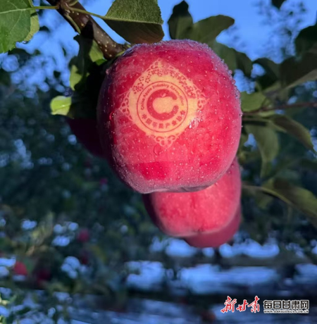 《苹果香》 00302133070_1f83da1a.jpg