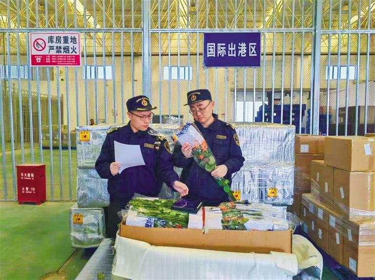 兰州航空口岸今年首次出口鲜切花