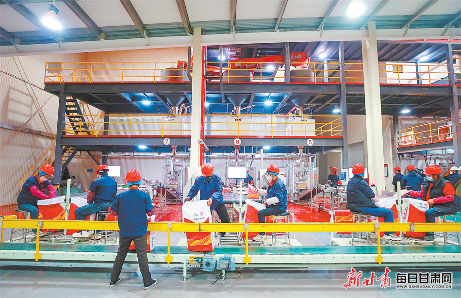 【图片新闻】张掖市玉米制种全产业链产值达110.2亿元