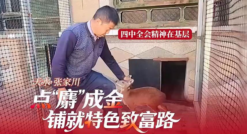 ˮżҴ㡰ꡱɽ ̾ɫ¸·