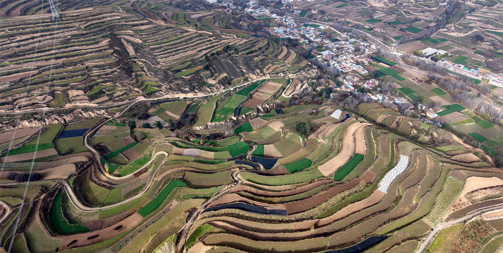 宕昌乡村振兴路上药香浓