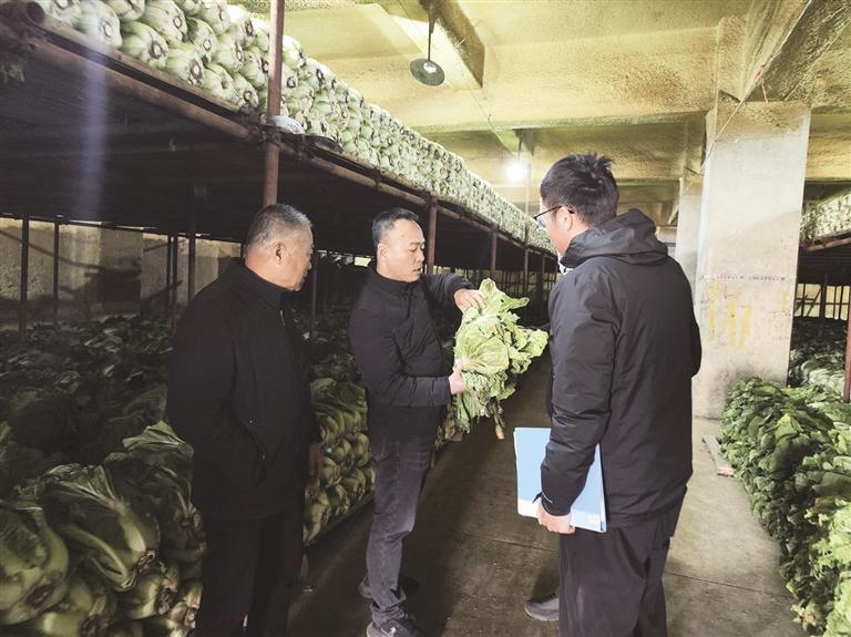 萬(wàn)噸儲(chǔ)備蔬菜入庫(kù) 金城冬春“菜籃子”有保障