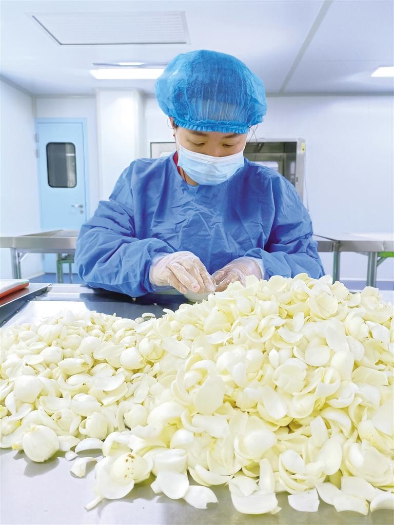 蘭州高原夏菜區(qū)域公用品牌價(jià)值達(dá)328.7億元