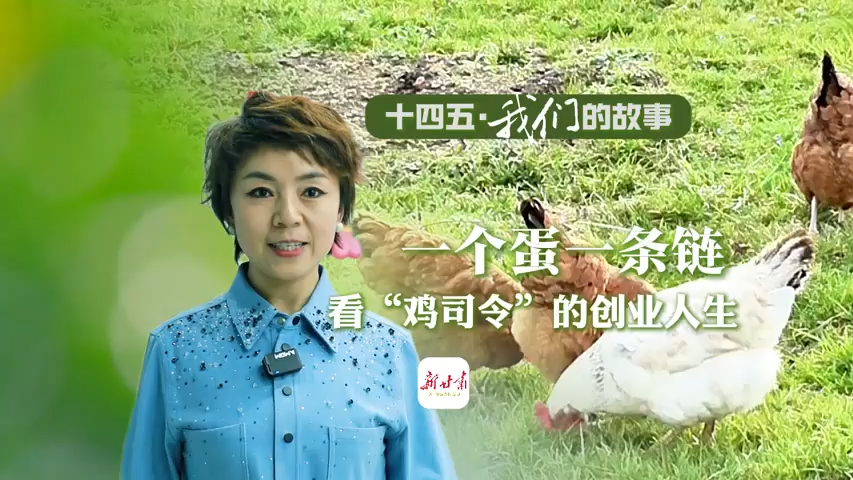 ʮ塤ǵĹ¡һһ ˾Ĵҵ