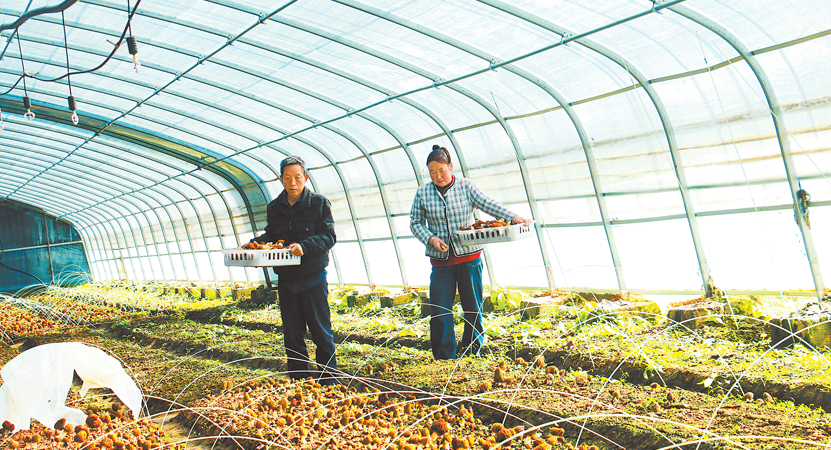 ếh���r��������Ǿ�