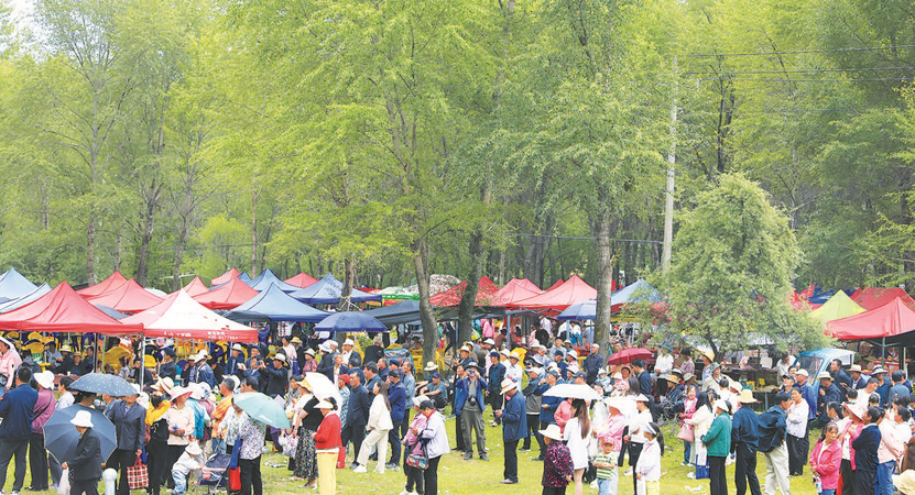 ɏ��ɽ���� ������ԭ�ϵ���[�z�