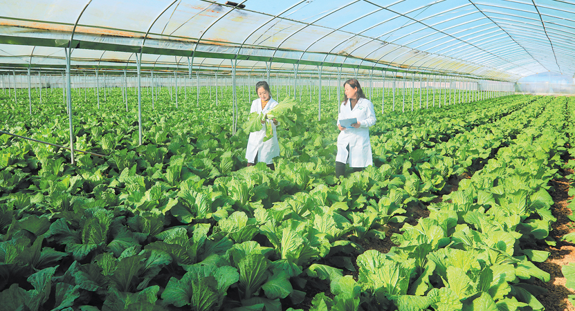 �տh���r���ˆT�ڹ��o��ײ�