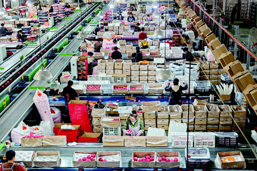 天水花牛苹果全国热销